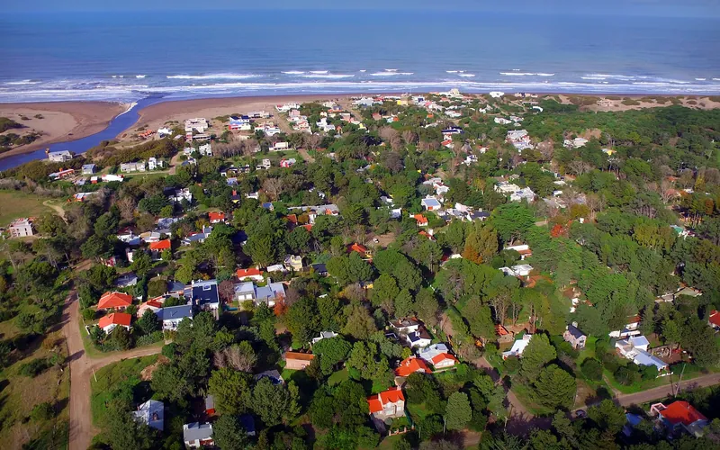 Bosques de pinos de Dunamar